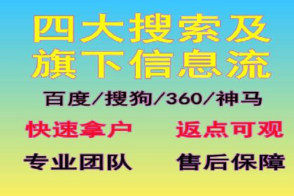 行业领先企业的SEM广告投放策略案例